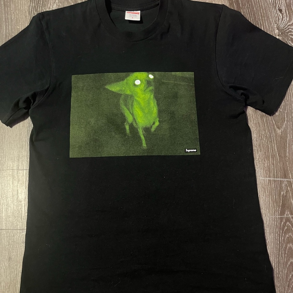 SUPREME chihuahua tee